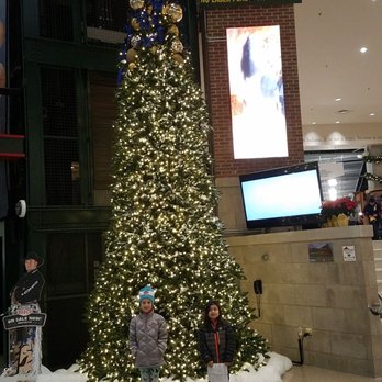 Indiana Pacers - Professional Sports Teams Near Me - Indianapolis, Indiana Indiana Pacers - Professional Sports Teams Near Me - Indianapolis, Indiana