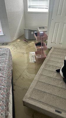 HomeSync Solutions on Yelp