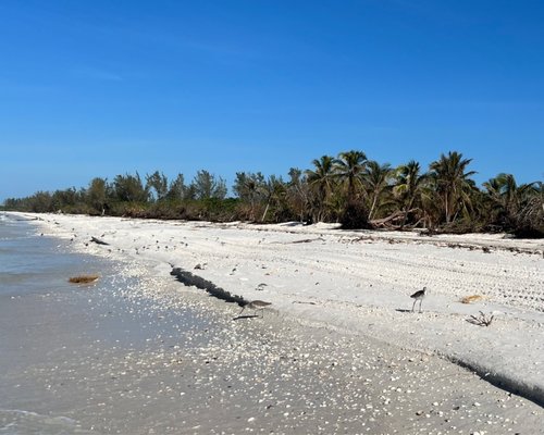 Rising Tide Explorers by null