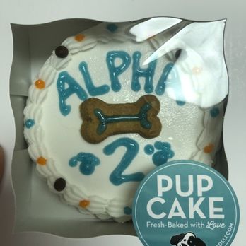 Dexter's Deli - Yummy doggie cake - Pet Stores Near Me - Carlsbad, California