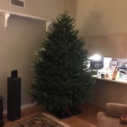 Winterland Christmas Trees - Before...