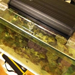 TAP Plastics - A beautiful lid for my aquarium made by TAP Plastics