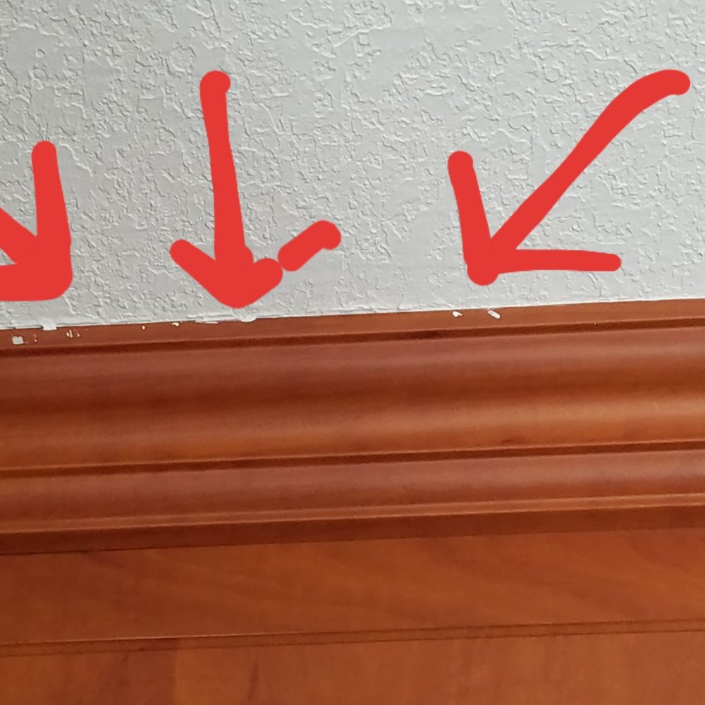 Frankfather Painting - Great dry wall, but poor job. This company gives hardworking tradesmen a bad name. They took my $500 CASH and never looked back. Damn Shame! - Painters Near Me - Lakeside, California Frankfather Painting - Great dry wall, but poor job. This company gives hardworking tradesmen a bad name. They took my $500 CASH and never looked back. Damn Shame! - Painters Near Me - Lakeside, California