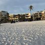 Photo of Beachside Management