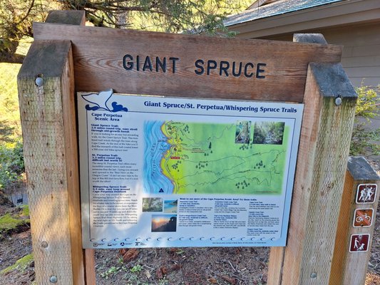 Cape Perpetua Visitor Center - Siuslaw National Forest by null