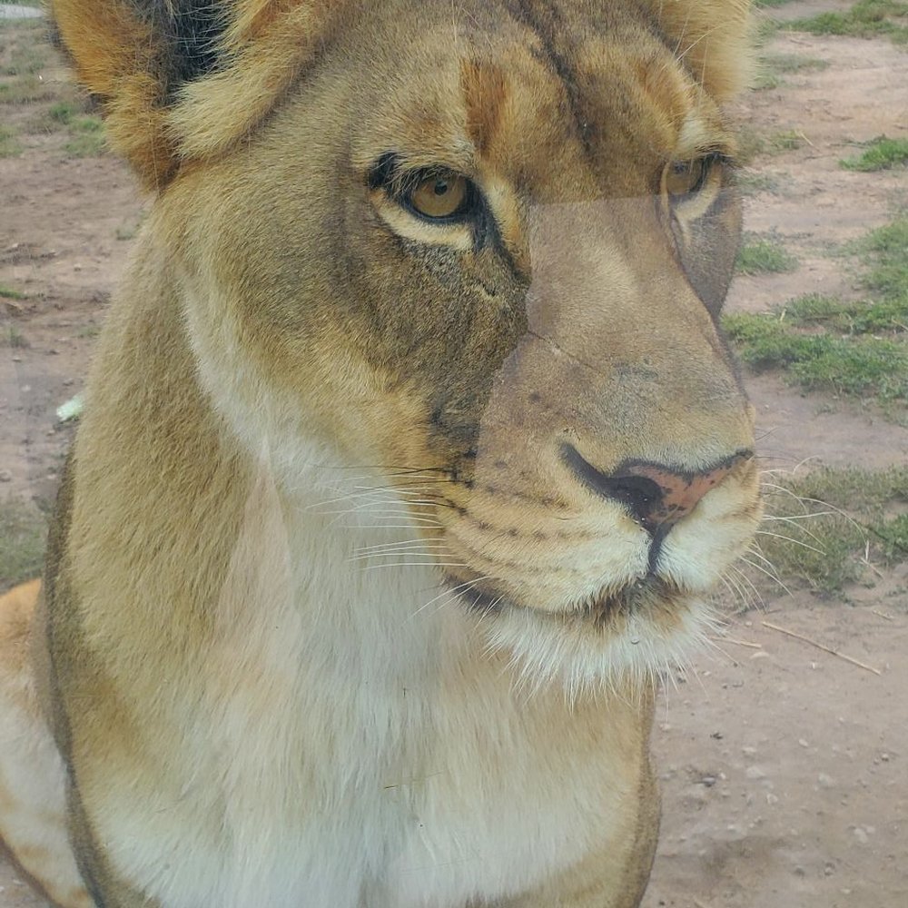 Racine Zoo - Zoos Near Me - Racine, Wisconsin