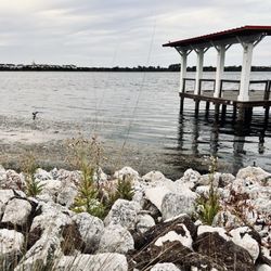 Blue Jacket Park