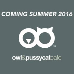 Owl & Pussycat Café - Coming soon!