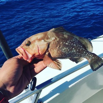 Living On Island Time - Fishing Near Me - Lake Worth, Florida