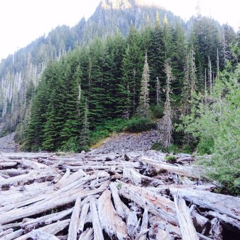 Goat Lake Trail - Log jam at goat lake - Hiking Near Me Goat Lake Trail - Log jam at goat lake - Hiking Near Me