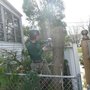 Photo of Arrow Professional Tree Service