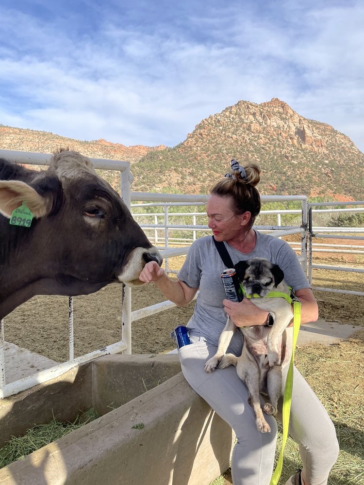 FINNEY FARM DAIRY & COUNTRY STORE 1320 N Canyon St, Hildale, Utah
