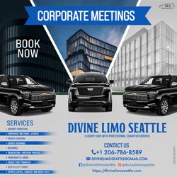 Divine Limo Seattle