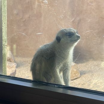 El Paso Zoo - Aquariums Near Me - El Paso, Texas El Paso Zoo - Aquariums Near Me - El Paso, Texas