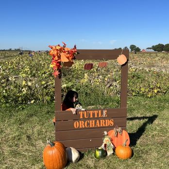 Tuttle Orchards - Little area to take pics - Fruits & Veggies Near Me - Greenfield, Indiana