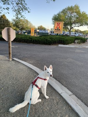 Albuquerque North / Bernalillo KOA Journey by null