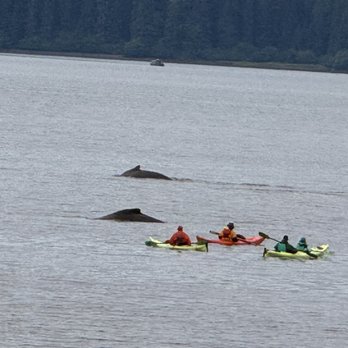 Icy Strait Point - Travel Services Near Me - Hoonah, Alaska