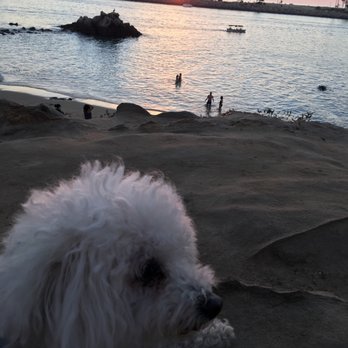 Pirate's Cove Beach - Beaches Near Me - Newport Beach, California