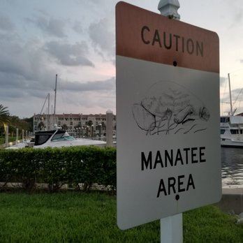 Harbortown Marina - Manatee Area. - Travel Services Near Me - Jacksonville, Florida Harbortown Marina - Manatee Area. - Travel Services Near Me - Jacksonville, Florida