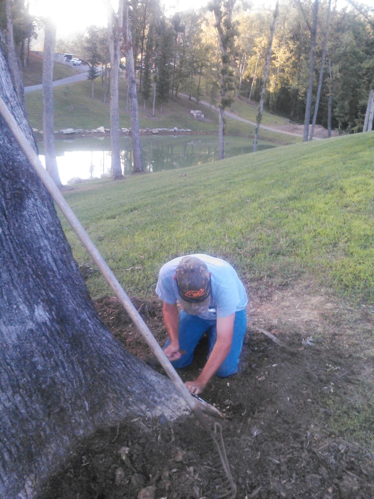 Slide of Fortner Construction and Tree Service