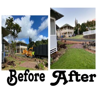 Triple A Tree Care - One our many projects. Removing the Areca palms & bushes . - Tree Services Near Me Triple A Tree Care - One our many projects. Removing the Areca palms & bushes . - Tree Services Near Me