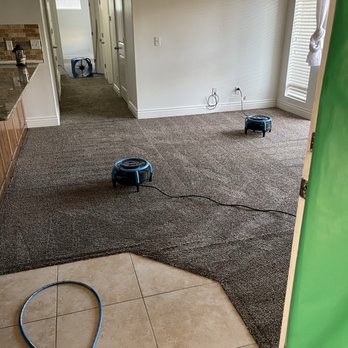 Pristine Carpet Cleaning & Home Services - Carpet Cleaning Near Me Pristine Carpet Cleaning & Home Services - Carpet Cleaning Near Me