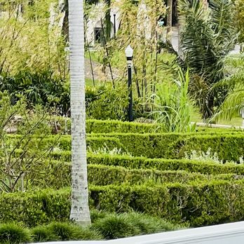 Hollis Garden - Botanical Gardens Near Me - Lakeland, Florida