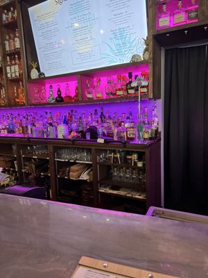 Tequila Daisy by null