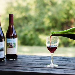 JBR Vineyards & Winery - Estate grown Pinot Noir