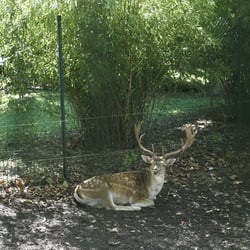 Zoo de la Pépinière