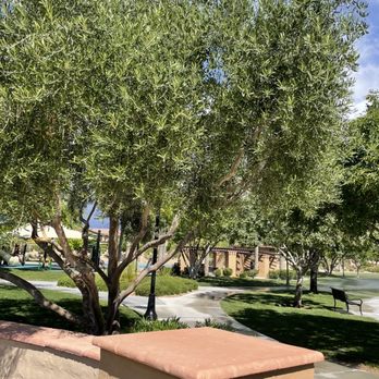 Paseos Park - Playground - Parks Near Me - Las Vegas, Nevada