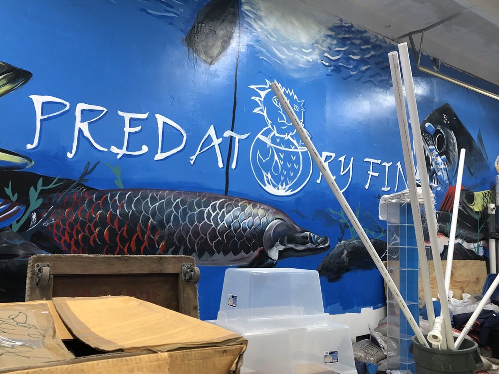 PREDATORY FINS Updated October 2024 36 Photos 750 Montauk Hwy