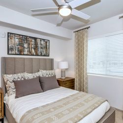Homestead Talking Glass - Luxurious Bedroom