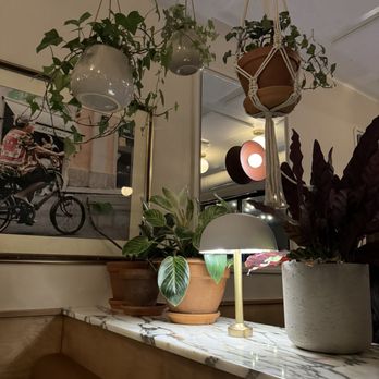 Restaurant Moccione - a table with a lamp and potted plants - Italian Near Me - Montreal, Quebec Restaurant Moccione - a table with a lamp and potted plants - Italian Near Me - Montreal, Quebec