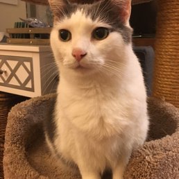 Beautiful photo update from Mark. Beautiful photo update from Mark.
