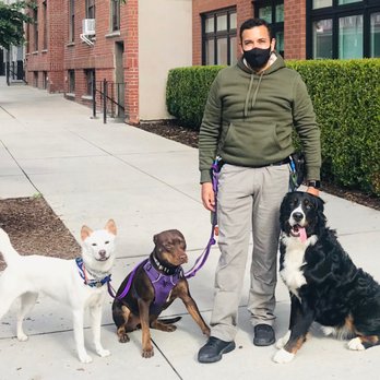 Buster and Whiskers - Dog Walkers Near Me - Astoria, New York Buster and Whiskers - Dog Walkers Near Me - Astoria, New York