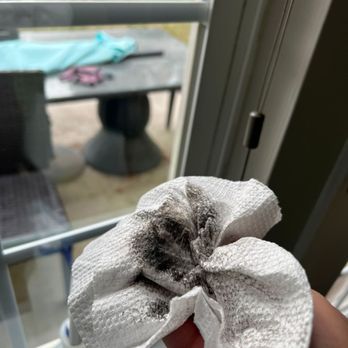Classy Cleaners - Daughter in law wiping the windows with plain water after the cleaners left. - Home Cleaning Near Me