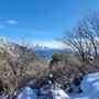 Mill Peak Trail