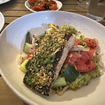 d’Alba - blackened salmon - New American Near Me - Houston, Texas d’Alba - blackened salmon - New American Near Me - Houston, Texas