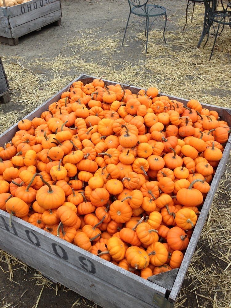 A Continuation of a Dream Daycare - childcare center in Bronx, NY