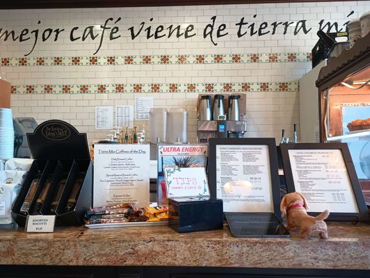 Tierra Mia Coffee by null