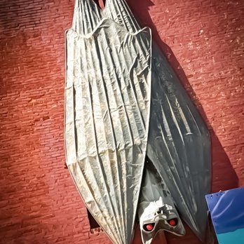 Caufield's Novelty - World's giant hanging bat. - Costumes Near Me - Louisville, Kentucky