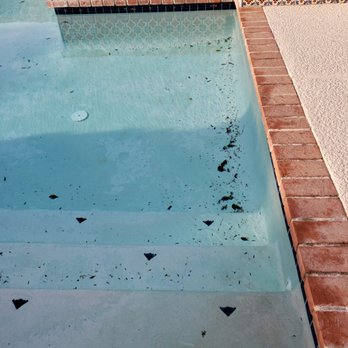 Quality Pool Service and Repair - Pool Cleaners Near Me