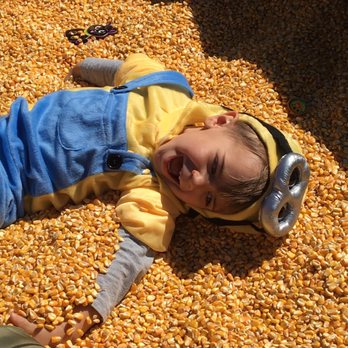 Texas State Railroad Rusk Depot - Our Minion at the Pumpkin Patch Express! - Parks Near Me - Rusk, Texas