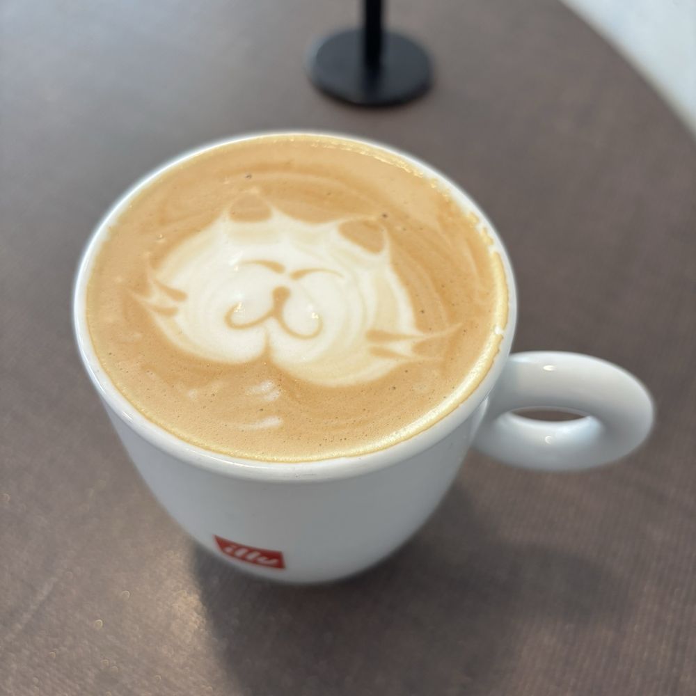 Anonymous Cafe - Latte - Coffee & Tea Near Me - Houston, Texas