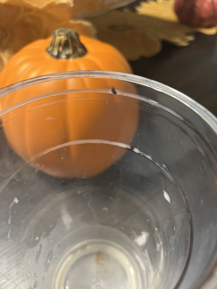 PALETERIA LA MICHOACANA Updated September 2024 29 Photos & 29