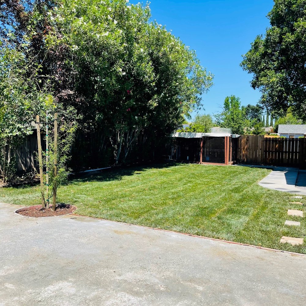 Zoe Landscaping - after 2 - Landscape Architects or Designers Near Me