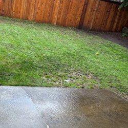 Evergreen Lawn Aeration - Newly aerated lawn