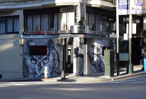 Bohemian Club by null