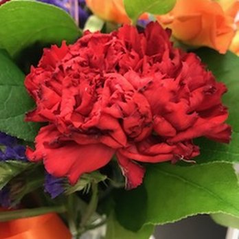 Floral Design - Dying carnation - Florists Near Me - Pasadena, California